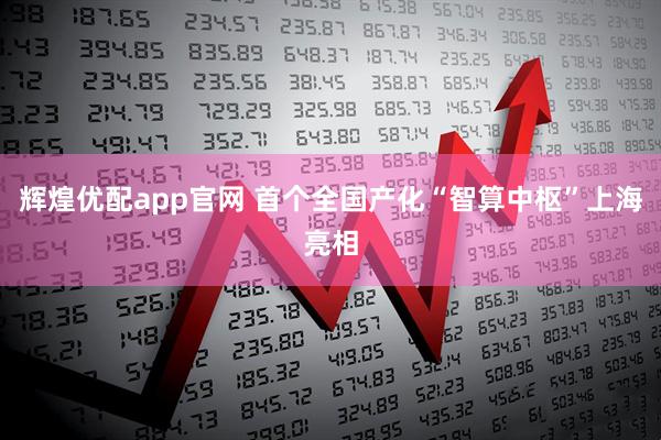 辉煌优配app官网 首个全国产化“智算中枢”上海亮相
