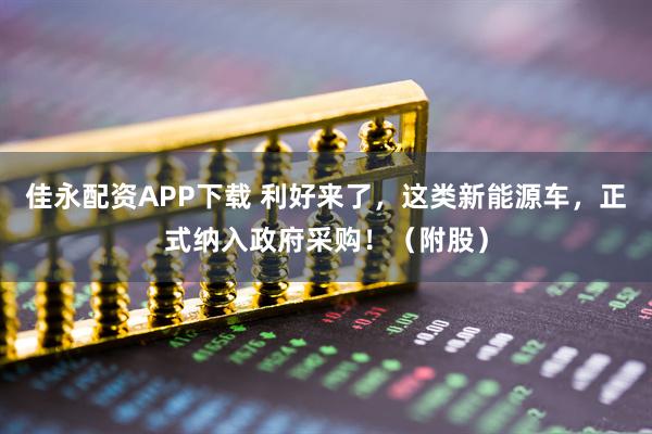 佳永配资APP下载 利好来了，这类新能源车，正式纳入政府采购！（附股）