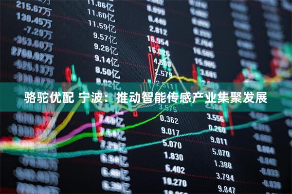 骆驼优配 宁波：推动智能传感产业集聚发展