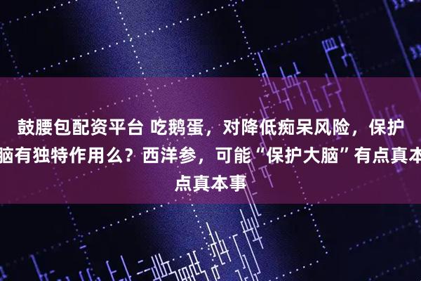 鼓腰包配资平台 吃鹅蛋，对降低痴呆风险，保护大脑有独特作用么？西洋参，可能“保护大脑”有点真本事